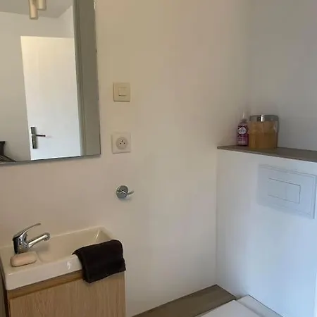 Familial 3 2 Wc 2 Sdb Futuroscope Arena Aquascope Palais Des Congres Jaunay-Clan